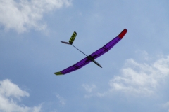 IMG_2377-2