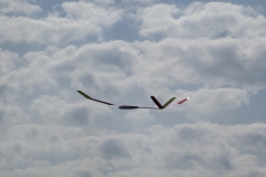 IMG_2378-2