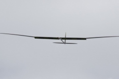 2R4A0255