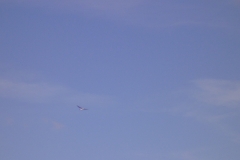 P1020501