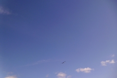 P1020510